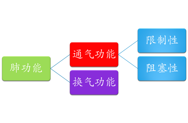 一次看懂肺功能 从此读懂报告不用愁 知乎