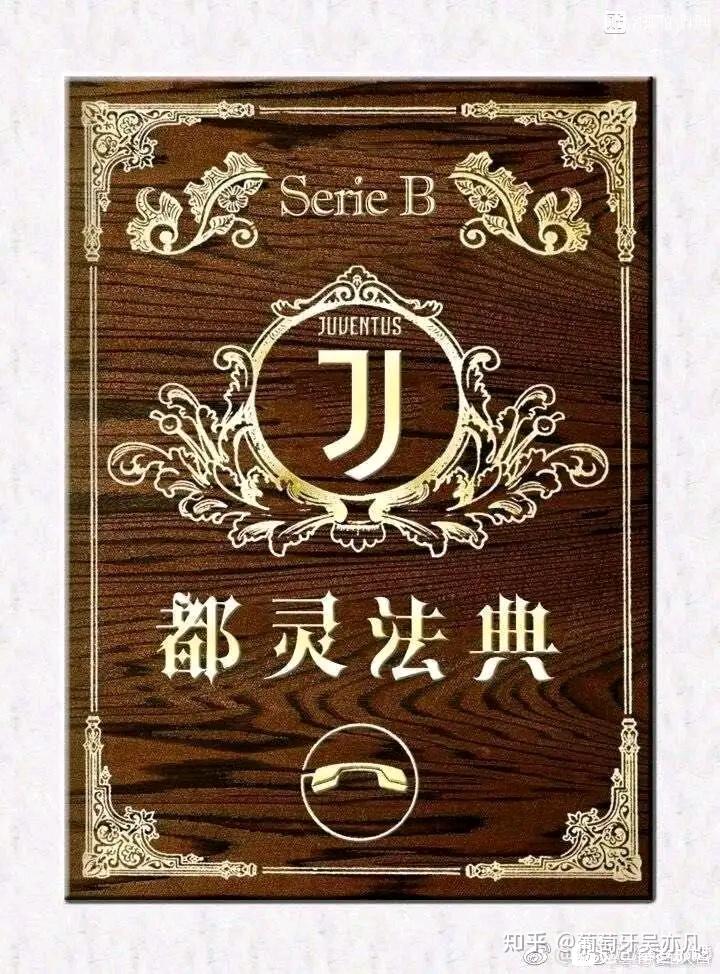 《都灵法》为我骡去尤文挑战之后产生的一部重要法律