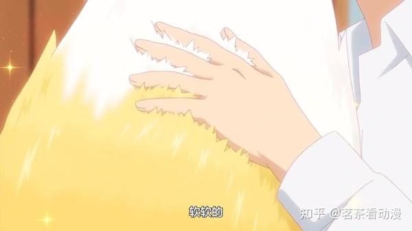 撸猫过时了 这部番男主都已经在撸狐狸了 知乎