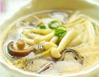 野生菌种类大科普之白参菌