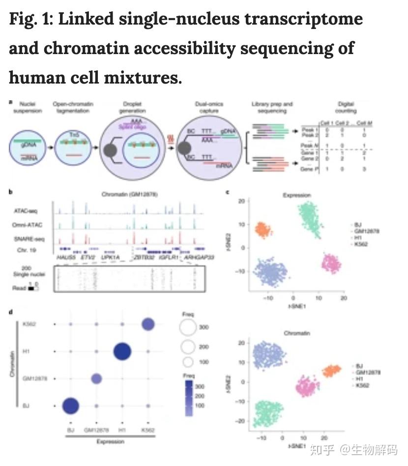 democratized image analytics by visual programming through