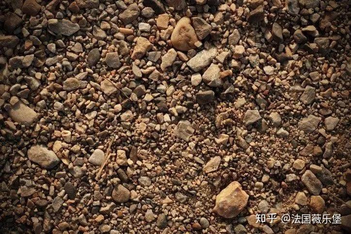土壤结构对葡萄酒影响这么神奇