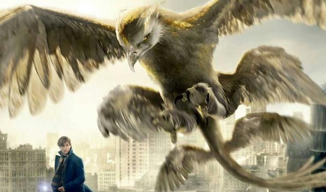 hp官设pottermore雷鸟