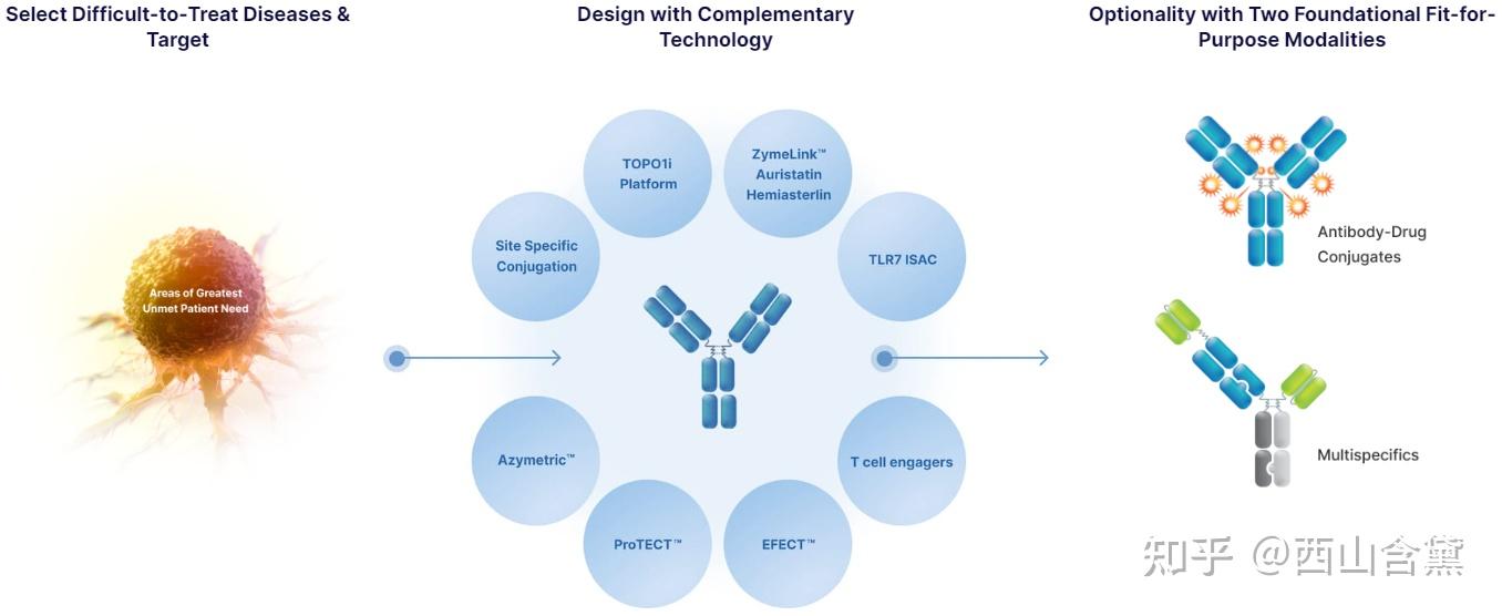 国内外知名企业adc技术平台(第四期, Zymeworks) - 知乎