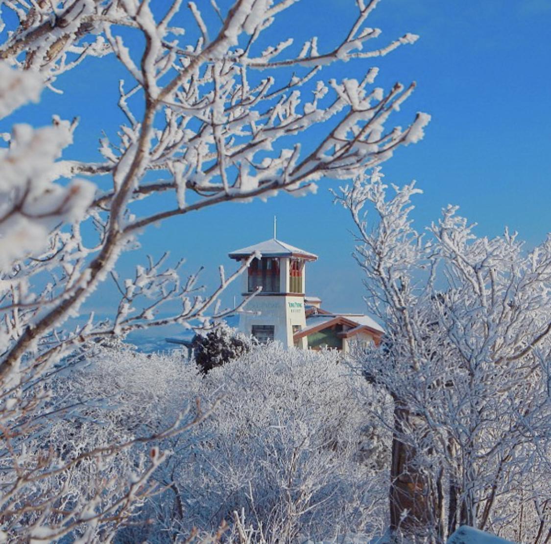 2019 2020 韩国滑雪季 被誉为赏雪胜地的韩国滑雪场 知乎