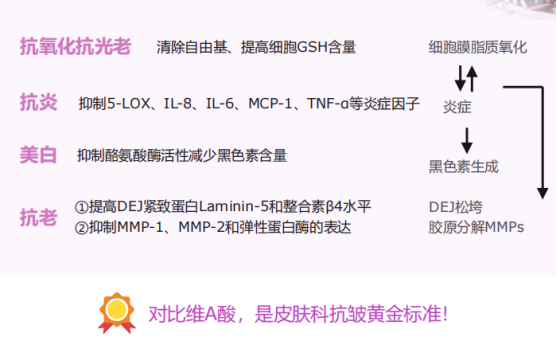 震惊护肝神器水飞蓟素竟然还有这种妙用