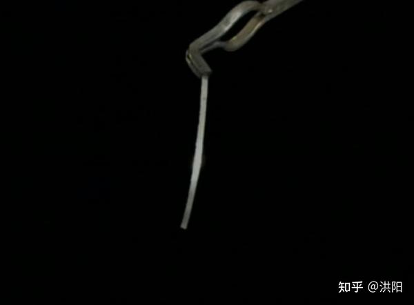 镁条的燃烧实验 - 知乎