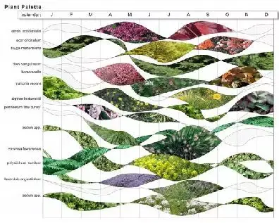 作品集干货丨景观植物设计案例分析 - 知乎