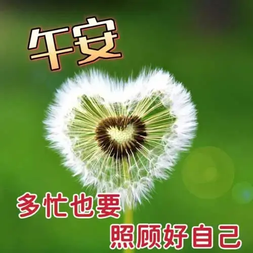 中午好图片，今日最新中午好图片大全，祝福美好 - 知乎