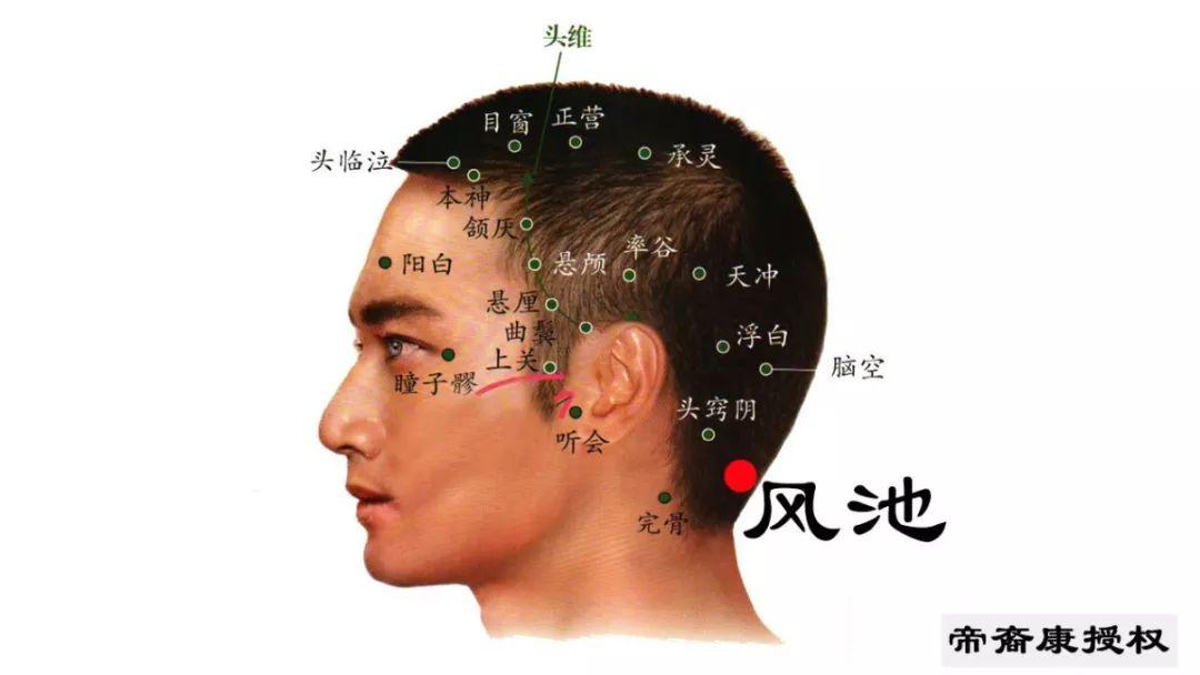 百会凹陷相学图片