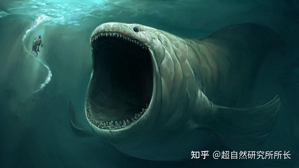 深海神秘未知巨型生物图片
