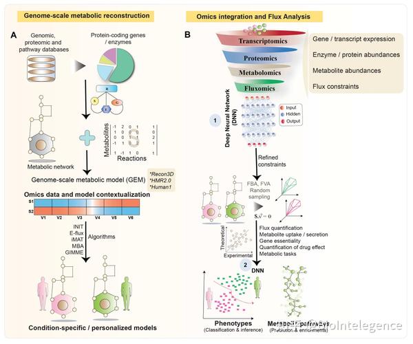 从方法学的观点看代谢组学中的深度学习应用 - 知乎