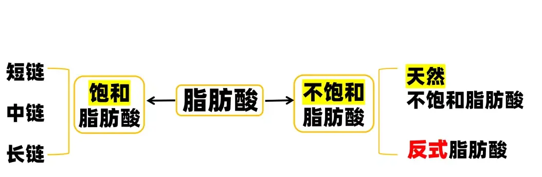 反式脂肪酸危害有多大