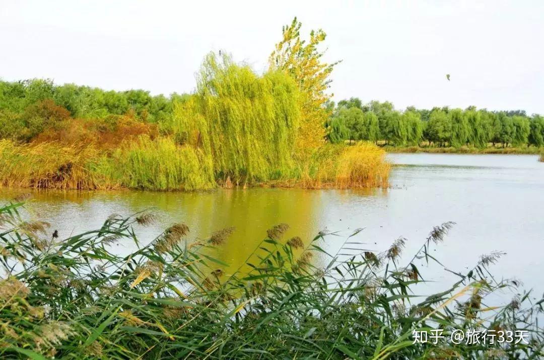 汉石桥湿地公园图片