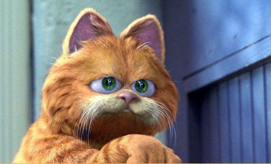 20.having a big belly is not awful,what awful is not havi