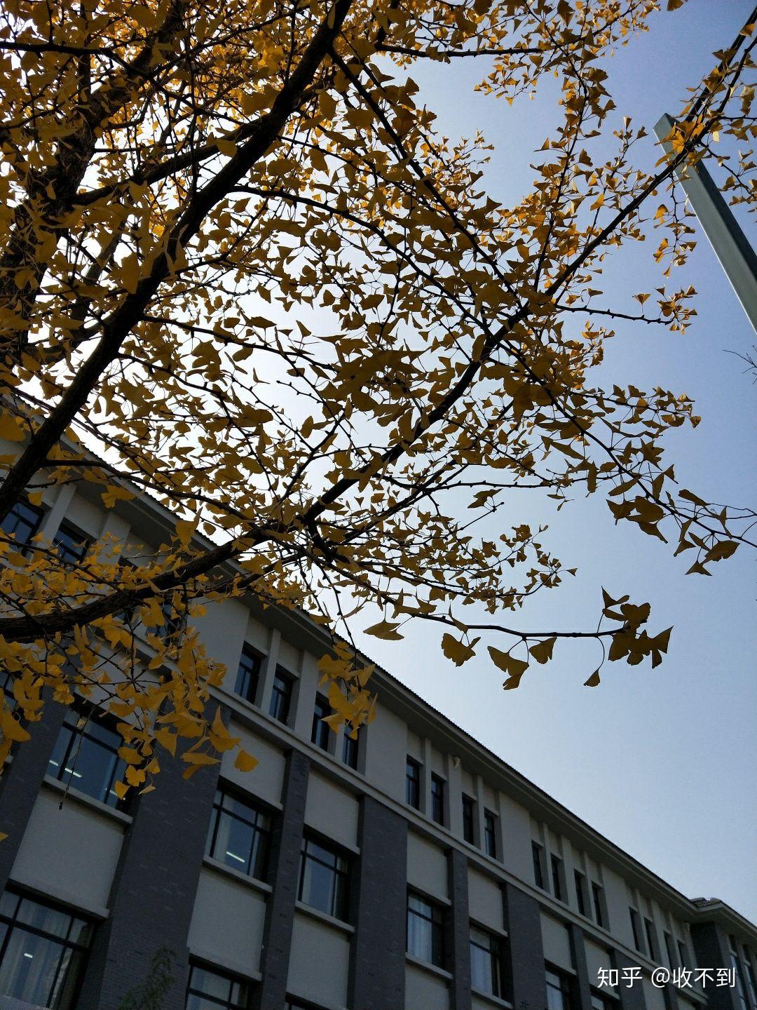 v2-1ada2f86a93654c34c61e00d02711e93_r.jpg