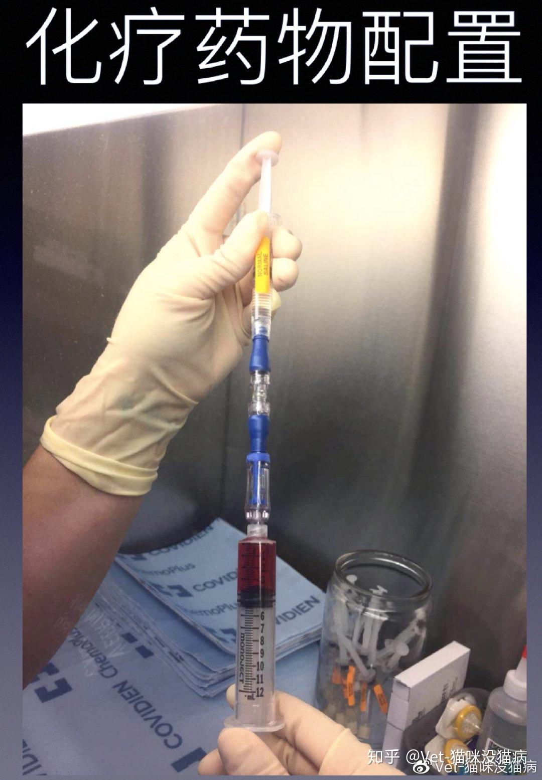 我的猫狗如果接受化疗我会不会被污染