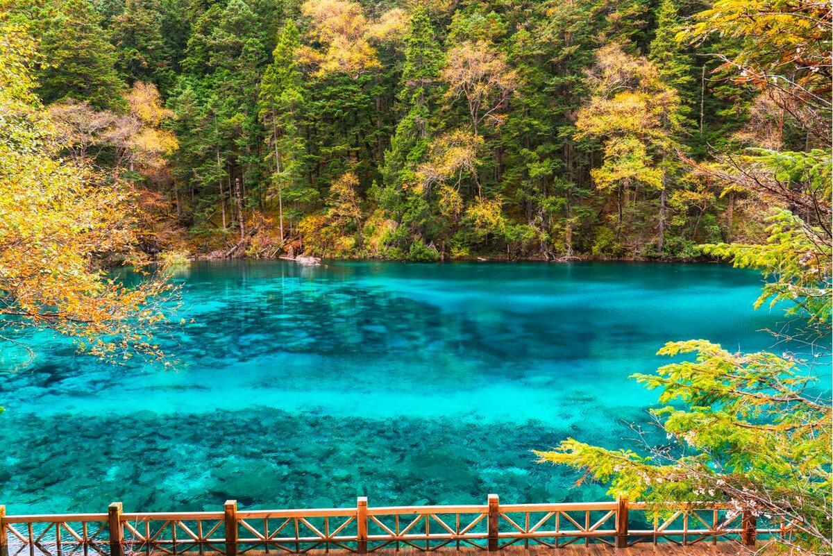 九寨沟旅游攻略，九寨沟30个景点介绍，一文搞懂九寨沟去哪儿玩？ - 知乎
