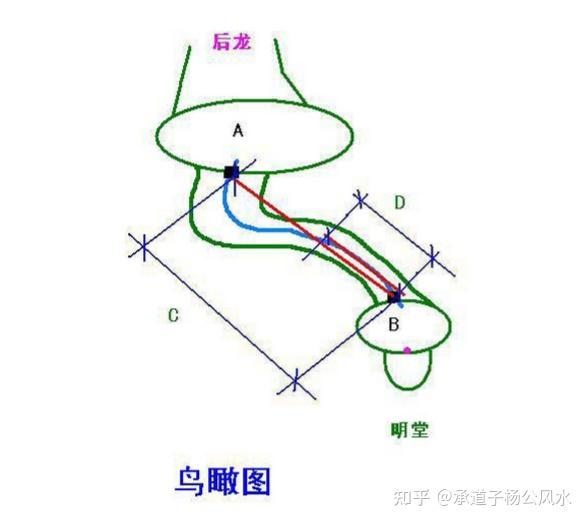 入首龙实例图图片