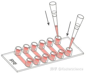 ibidi μ-Pattern 微区块表面 VI 0.4 六通道载玻片玩转指南（ibiTreat，lin20，pit170） - 知乎
