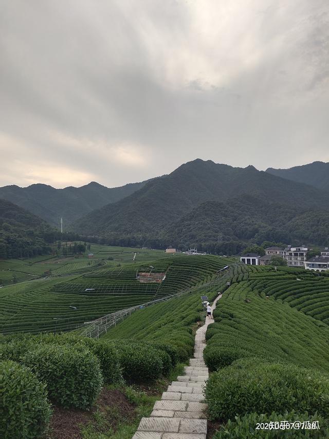 这才是真正的大自然的馈赠 v2-1b4add2829a374f40db3428ef15ae7c3_r.jpg