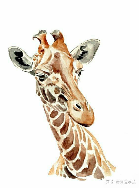 水彩长颈鹿