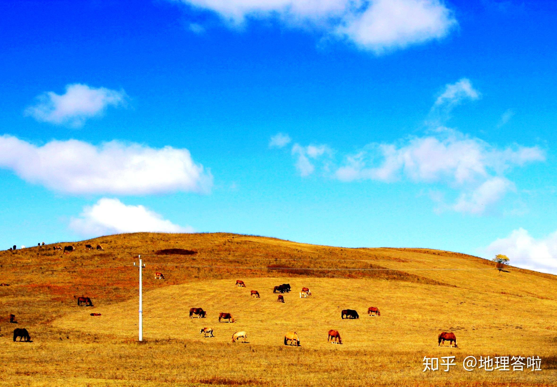 地理答啦摄影内蒙古乌兰布统大草原的秋天天高地阔景色壮美