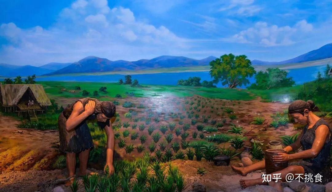 长江下游发掘的河姆渡遗址中存在稻作证据.