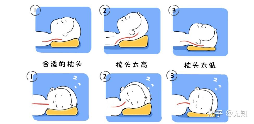 2023年枕头推荐:乳胶枕头,记忆枕头,羽绒枕头,功能枕头?