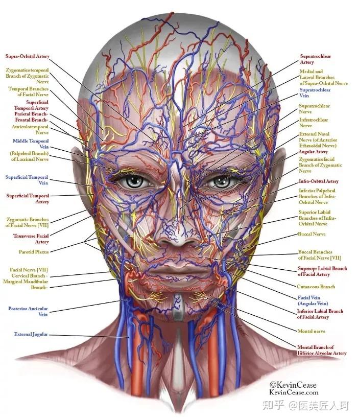 咱们接下来一起来分析