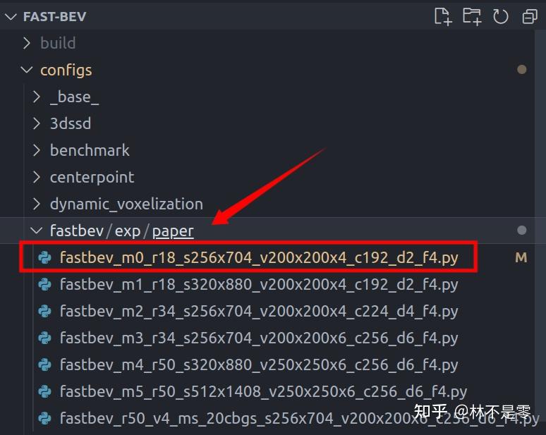 Fastbev 