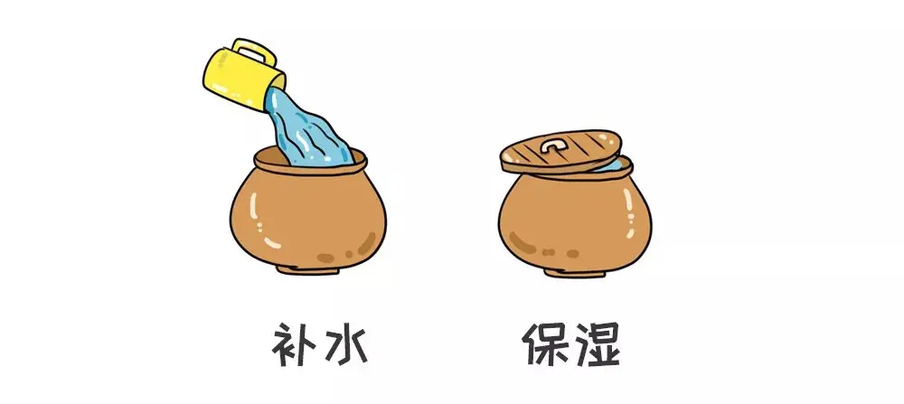 护芙精讲堂补水保湿两手抓
