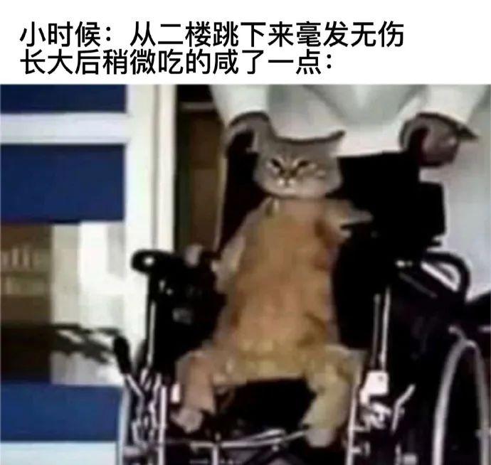 我们所熟知的meme梗图也可以用AI生成了,老外都玩坏了。 - 知乎