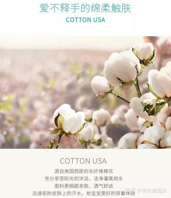 品质最好棉花简介 知乎