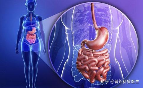 胃总是隐隐作痛到底是什么毛病不外乎是以下四种情况