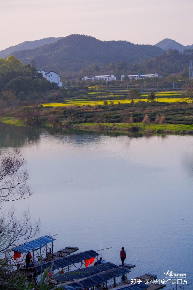 清晨时分,晨雾如轻纱般笼于水面之上,白墙,黛瓦,金花,绿水在一片烟水