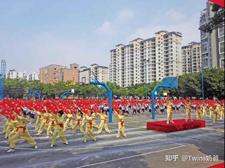 南海区西樵民乐小学的南狮武术社团——"小飞鸿国术团"还曾多次获得省