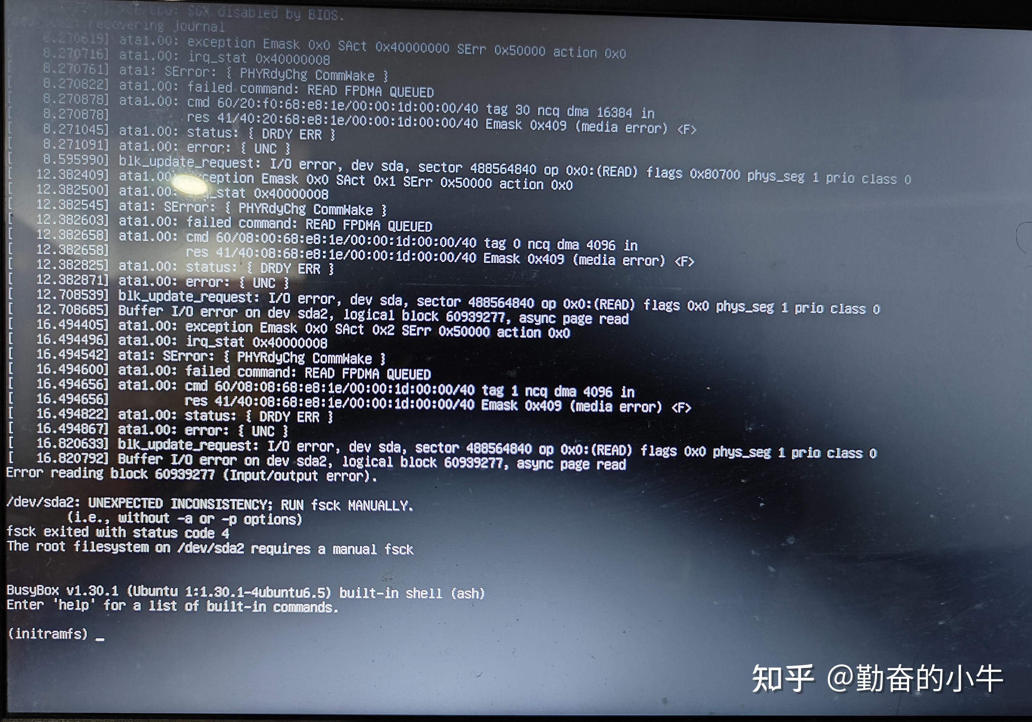 linux系统打不开网页