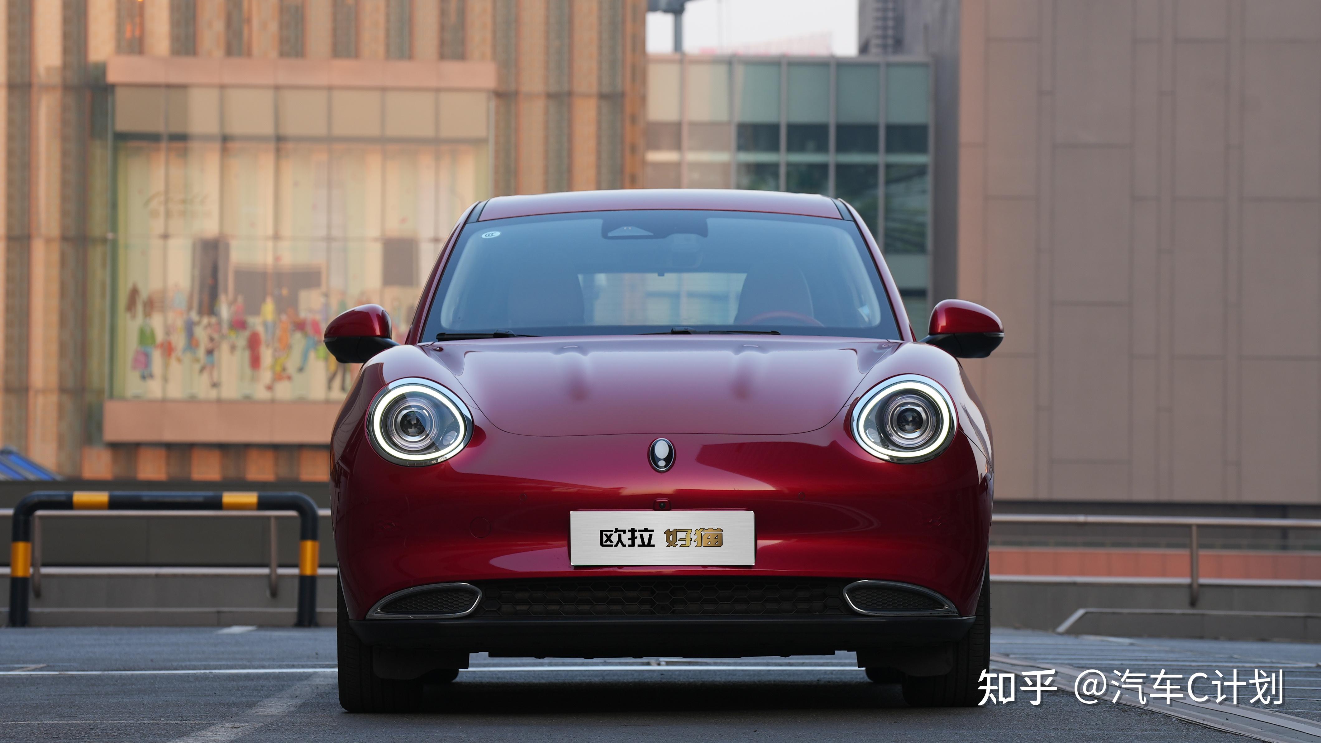 教学指南!欧拉好猫教你如何"俘获"女神的心