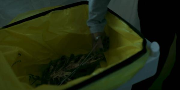 重口+猎奇，又一部身体恐怖惊悚片！