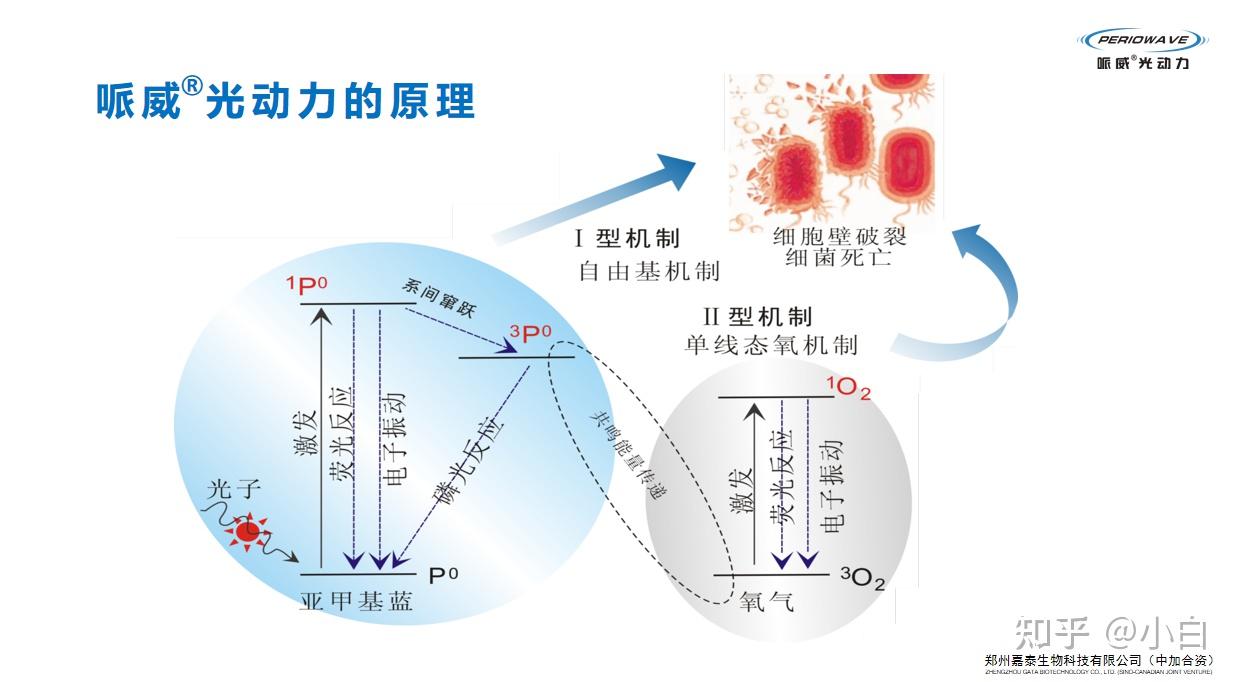 光动力的作用及原理 - 知乎