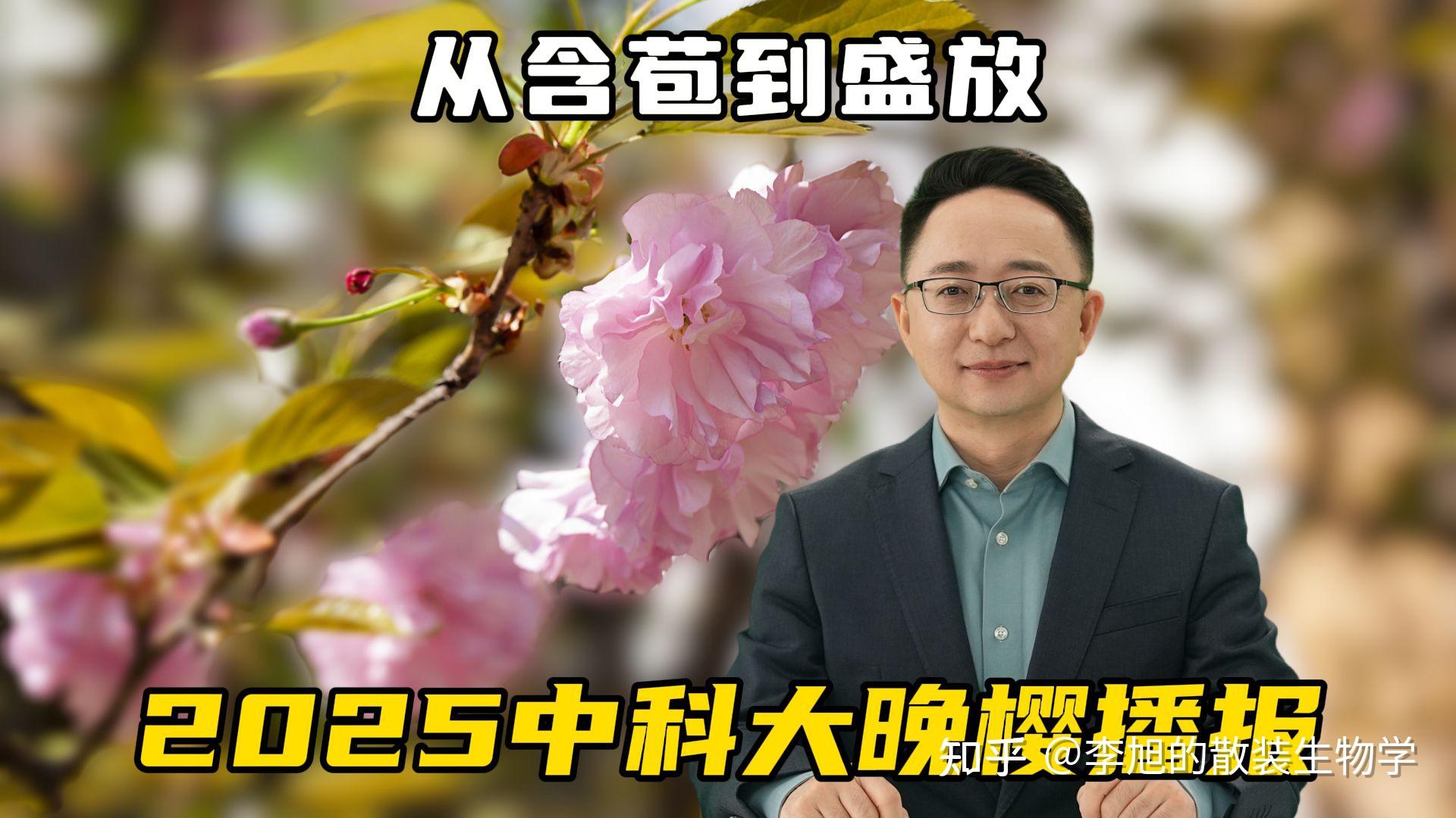 从含苞到盛放,李旭的2025中国科大晚樱播报 - 知乎