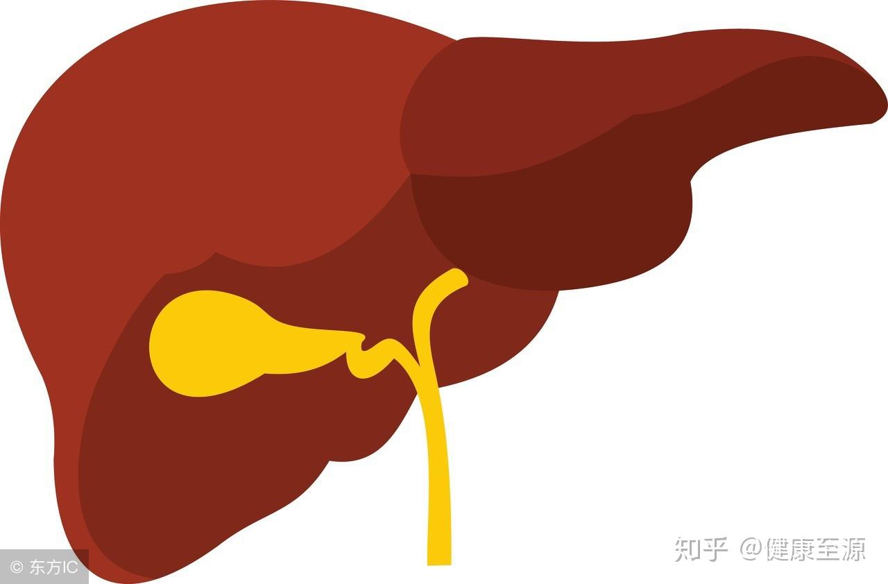 胆囊结石与胆管结石不一样--中国数字科技馆