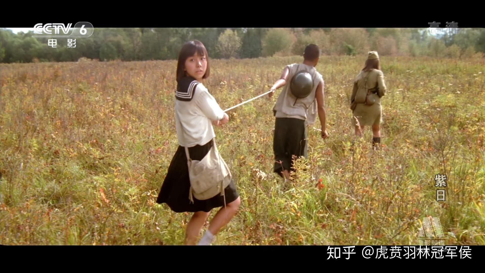 如何评价紫日这部电影