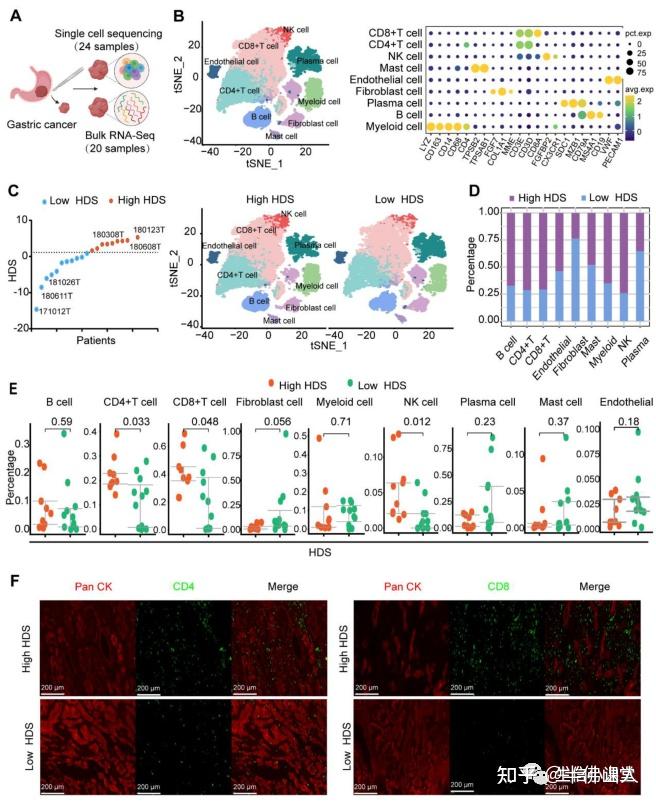 12sci肿瘤分型评分自测数据验证实验验证做到这些工作你也可以发10