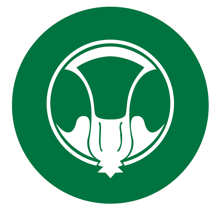 福海讲堂丨大白菜的故事