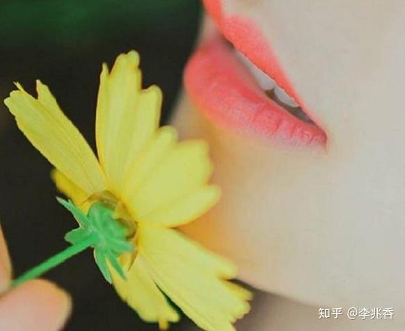 v2-1c23ac84eaf7fb89cc7ea04bf81db69b_r.jpg