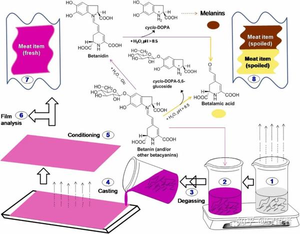 Food Packaging and Shelf Life：植物甜菜红在食品新鲜度监测膜中的最新应用 知乎