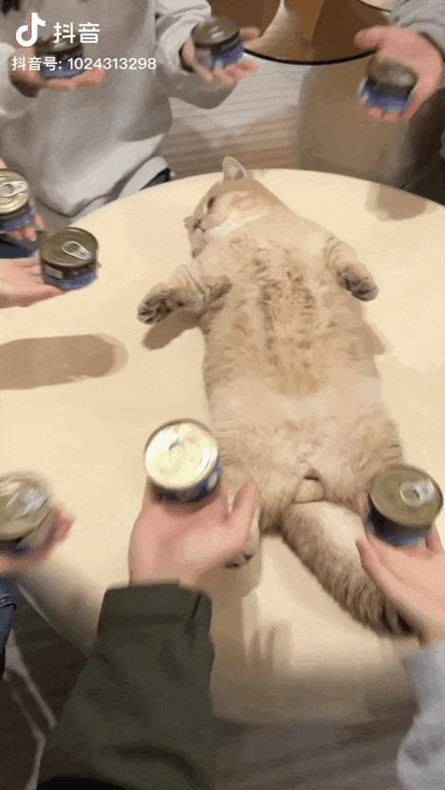 新榜速递:"春山学"被上亿网友围观,"猫一杯"在巴黎捡小学生作业上热搜