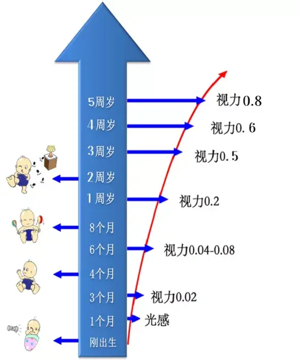 0～6岁是儿童眼睛和视觉功能发育的关键时期,6岁前的视觉发育情况决定